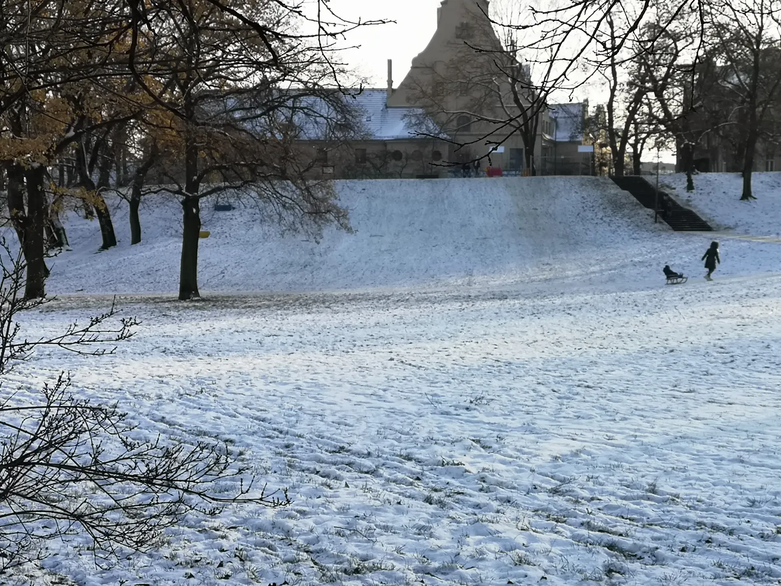 Park Izabeli i Jarogniewa Drwęskich