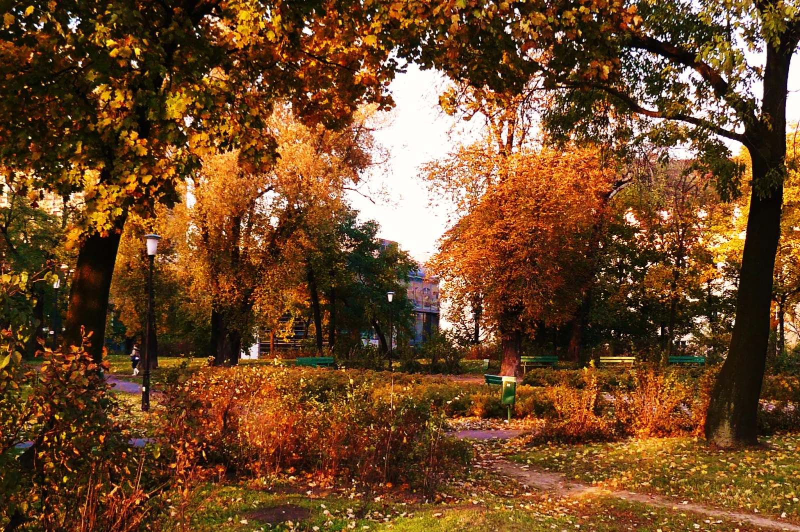 Park im. Karola Marcinkowskiego