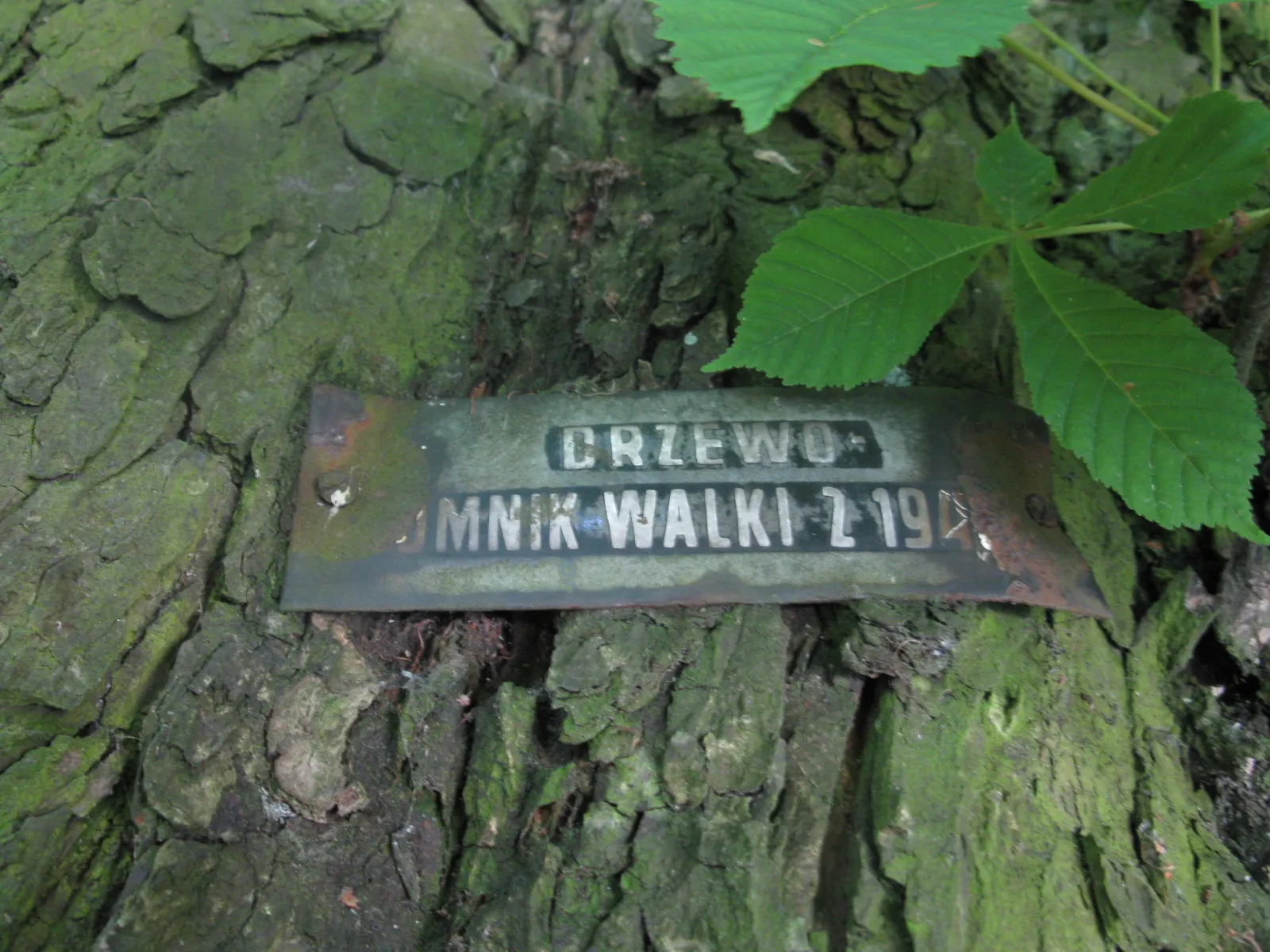 Park Cytadela