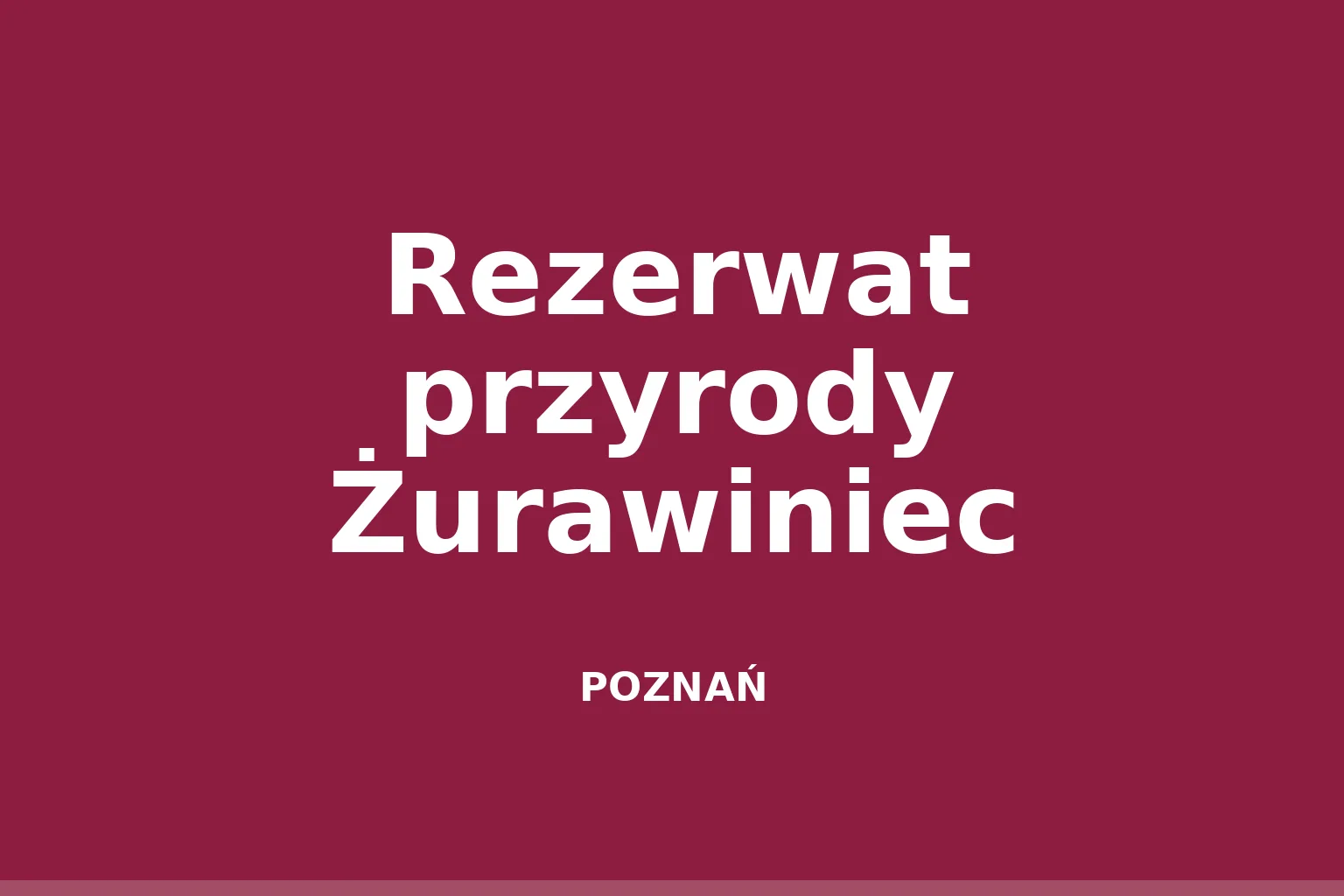Rezerwat przyrody Żurawiniec